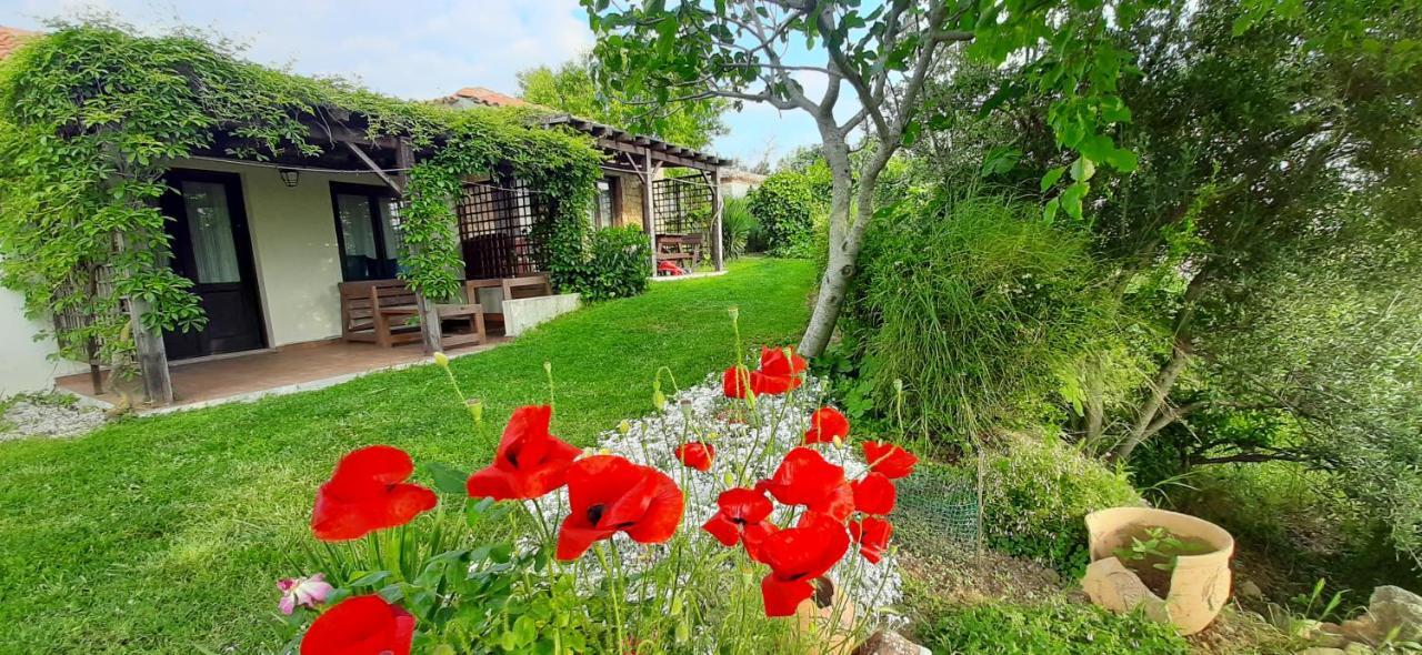 The Gallipoli Houses 에체밧 외부 사진
